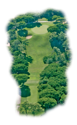 old course - hole 10