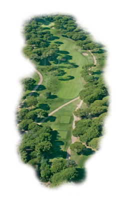 old course - hole 11